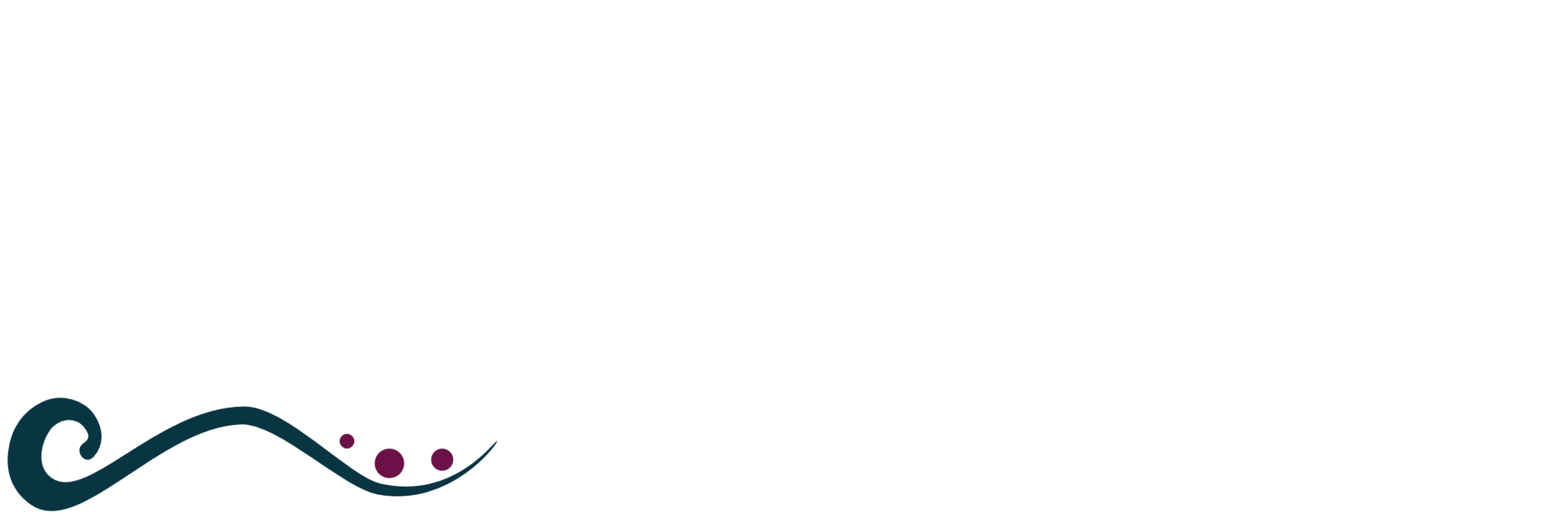 Ein minimalistisches Design mit einer marineblauen Wirbellinie in der unteren linken Ecke, die in drei kastanienbraunen Punkten endet, deren Größe zur Bildmitte hin allmählich zunimmt. Der restliche Hintergrund ist schlicht weiß, ähnlich der Klarheit, die durch professionelles Lektorat und Korrektur erreicht wird. Logo Lektorat und Meer weiße Feder und Schrift